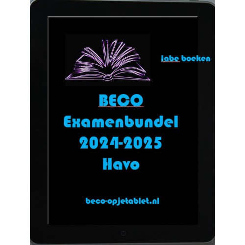 BECO examenbundel HAVO